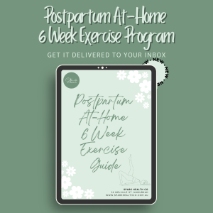 Postpartum At-Home 6 Week Exercise Program